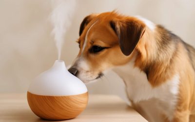 What Aromatherapy Is Bad for Dogs: Essential Risks Every Pet Owner Should Know