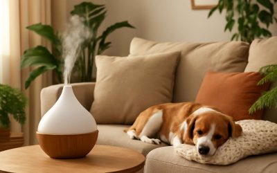 Are Aromatherapy Diffusers Safe for Dogs? What You Need to Know to Keep Your Pets Safe